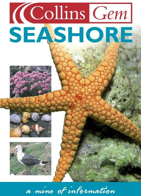 Seashore