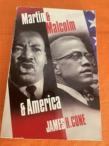 Martin and Malcolm and America