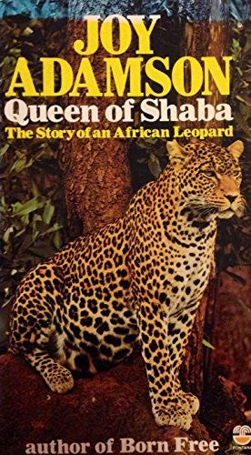 Queen of Shaba