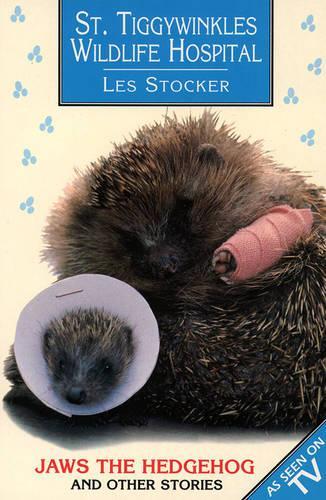 St. Tiggywinkles Wildlife Hospital