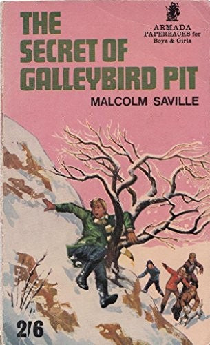 Secret of Galleybird Pit