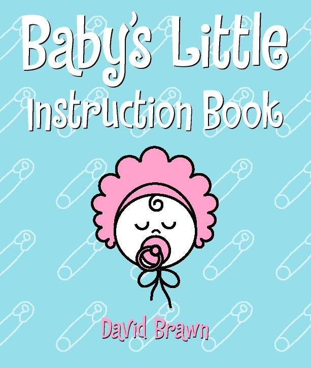 A Baby's Little Instruction Book