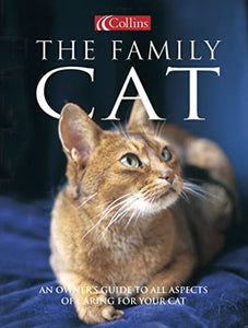 Collins the Family Cat 