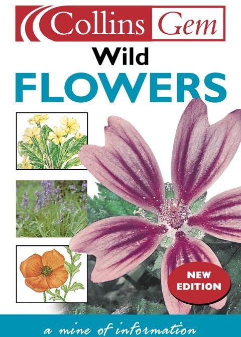 Wild Flowers