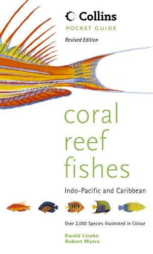 Coral Reef Fishes