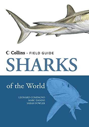 Sharks