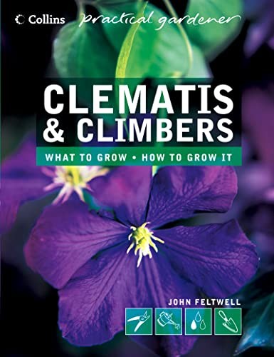 Clematis and Climbers