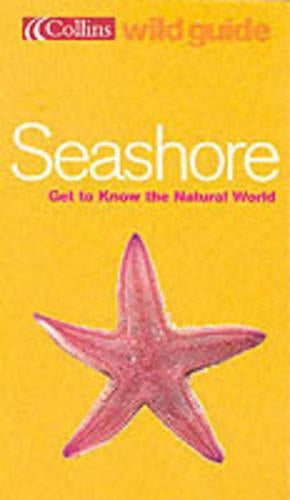 Seashore