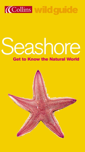 Seashore
