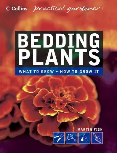 Bedding Plants