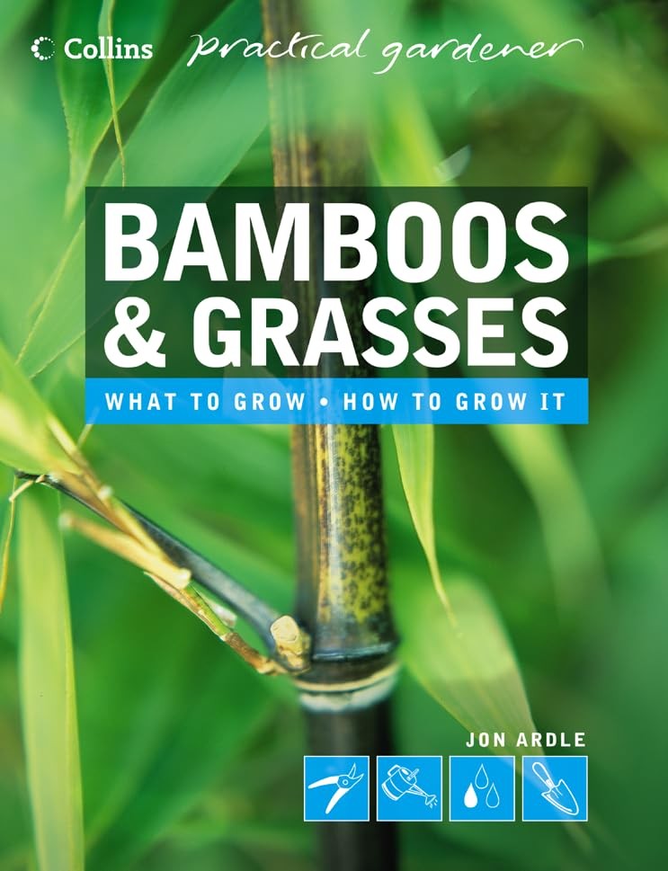 Bamboos and Grasses