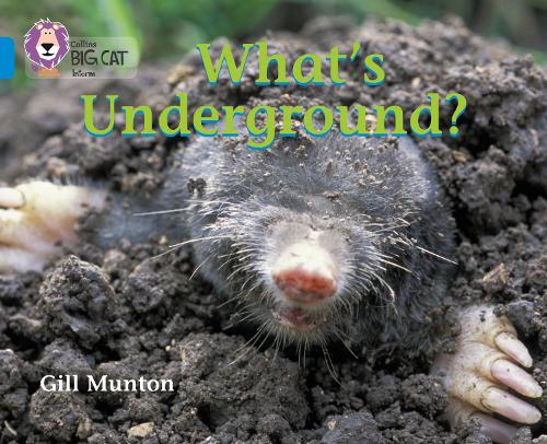 Whats Underground