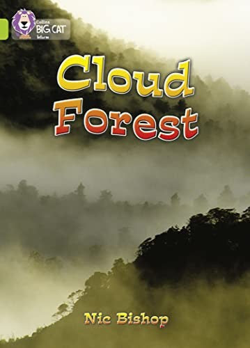Cloud Forest