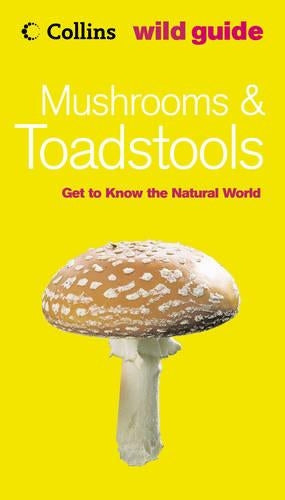 Mushrooms and Toadstools