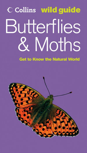 Butterflies and Moths