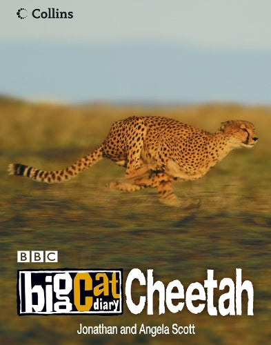 Big Cat Diary