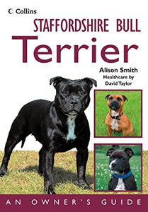 Staffordshire Bull Terrier 