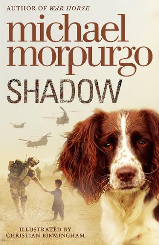 Shadow