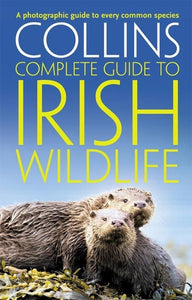 Collins Complete Guide To British Birds Paul Sterry Libro "Collins Complete Guide To British Birds" Di Paul Sterry - Guida Fotografica Usata Ma Perfetta! Radio Birdman - Foto 7