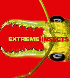 Extreme Insects 