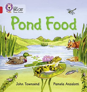 Pond Food 
