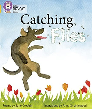 Catching Flies