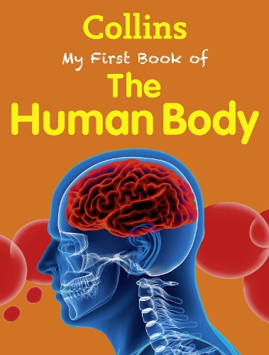 My First Book of the Human Body
