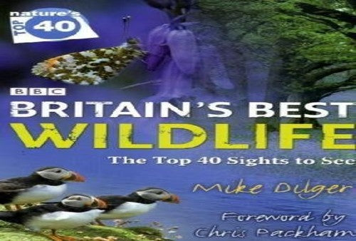 BBC Nature's Top 40: Britain's Best Wildlife