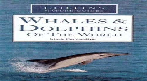 Collins Nature Guide Whales And Dolphins