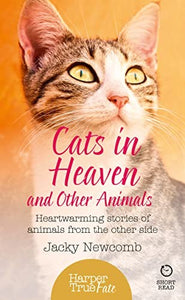 Cats in Heaven 