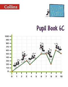 Pupil Book 6C 
