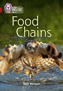 Food Chains 