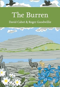 The Burren 