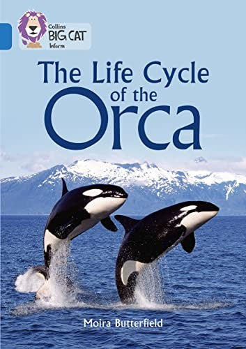 The Life Cycle of the Orca