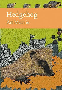 Hedgehog 