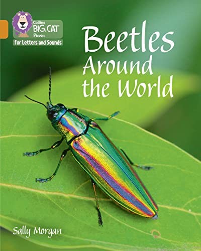 Beetles Around the World
