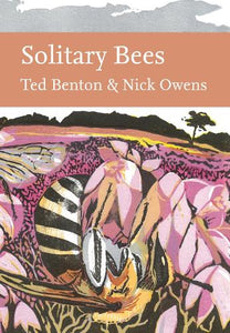 Solitary Bees 