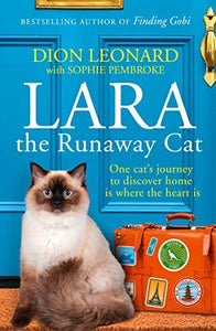 Lara The Runaway Cat 