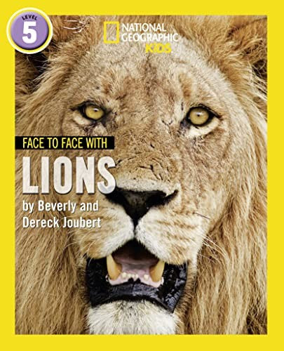 Face to Face with Lions