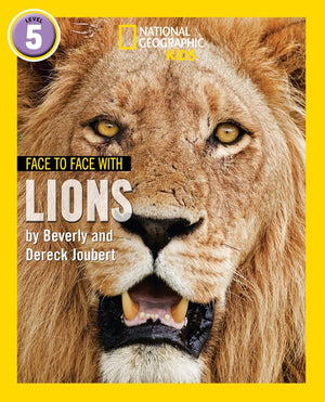 Face to Face with Lions