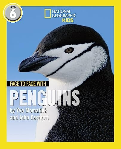 Face to Face with Penguins