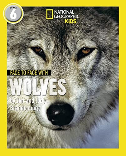 Face to Face with Wolves