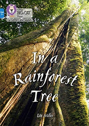 In a Rainforest Tree