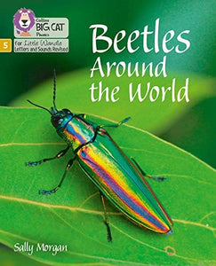 Beetles Around the World 