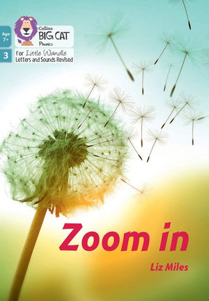 Zoom in