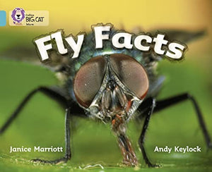 Activity Book Foundation A