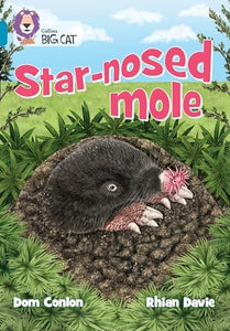 Star-nosed Mole 