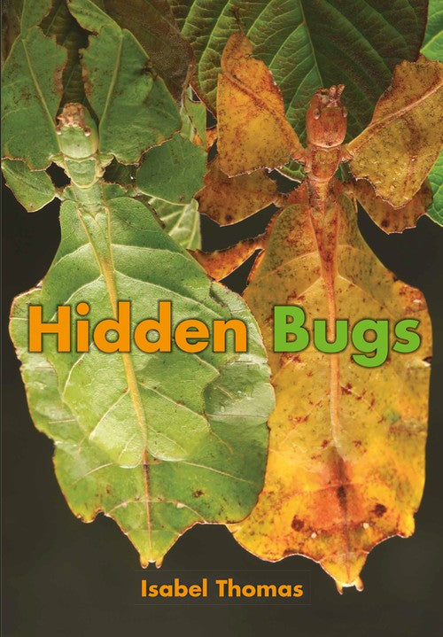 Hidden Bugs