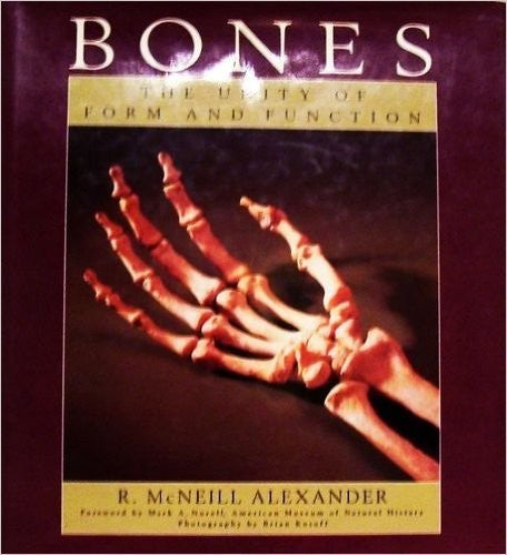 Bones