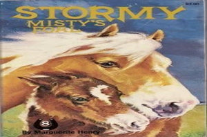 Stormy, Misty's Foal